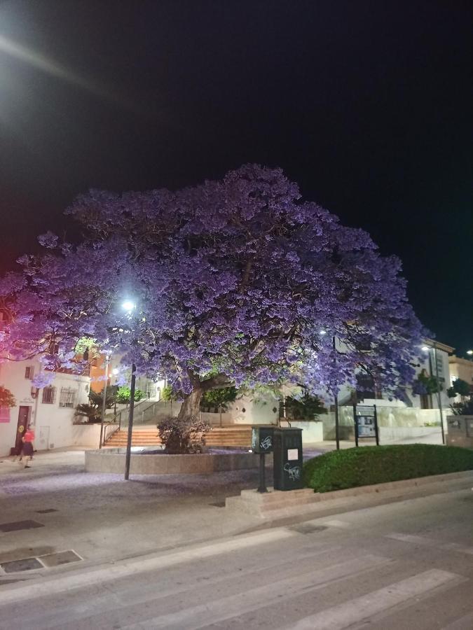 Sweet Home Benalmadena, Estudio Con Vistas Al Mar Y Excelente Conexion Wifi, Para No Fumadores, Con Piscinas, Sea Views, With Swimming Pools, Completely Renovated, Ideal For Older People, Bright With Morning Sun, No Smoking 외부 사진
