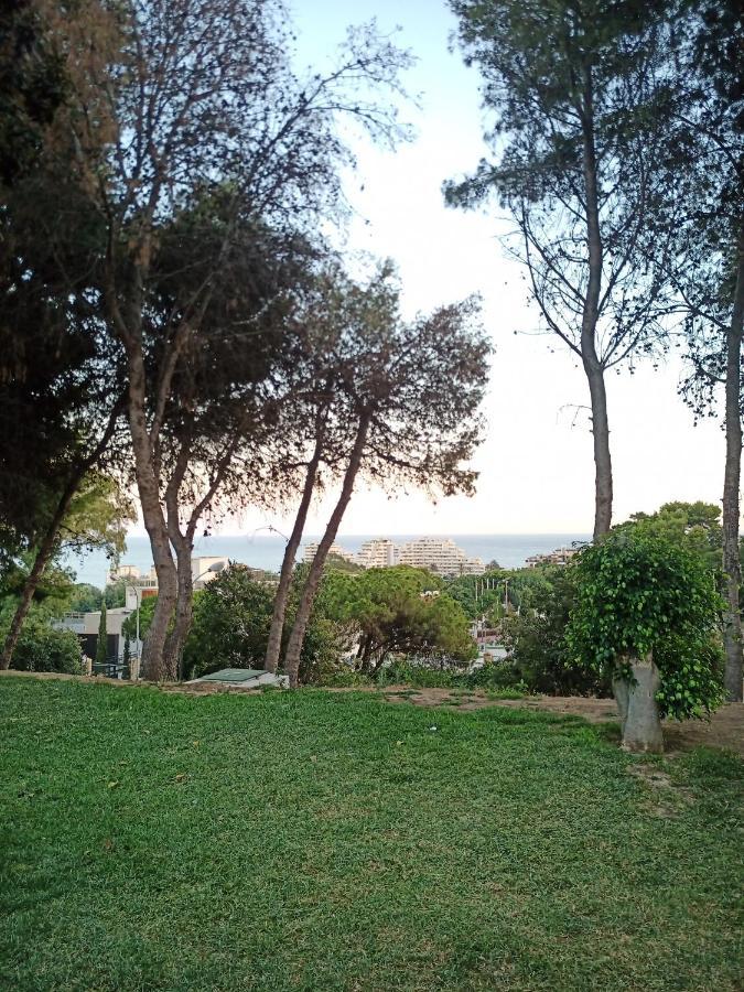 Sweet Home Benalmadena, Estudio Con Vistas Al Mar Y Excelente Conexion Wifi, Para No Fumadores, Con Piscinas, Sea Views, With Swimming Pools, Completely Renovated, Ideal For Older People, Bright With Morning Sun, No Smoking 외부 사진