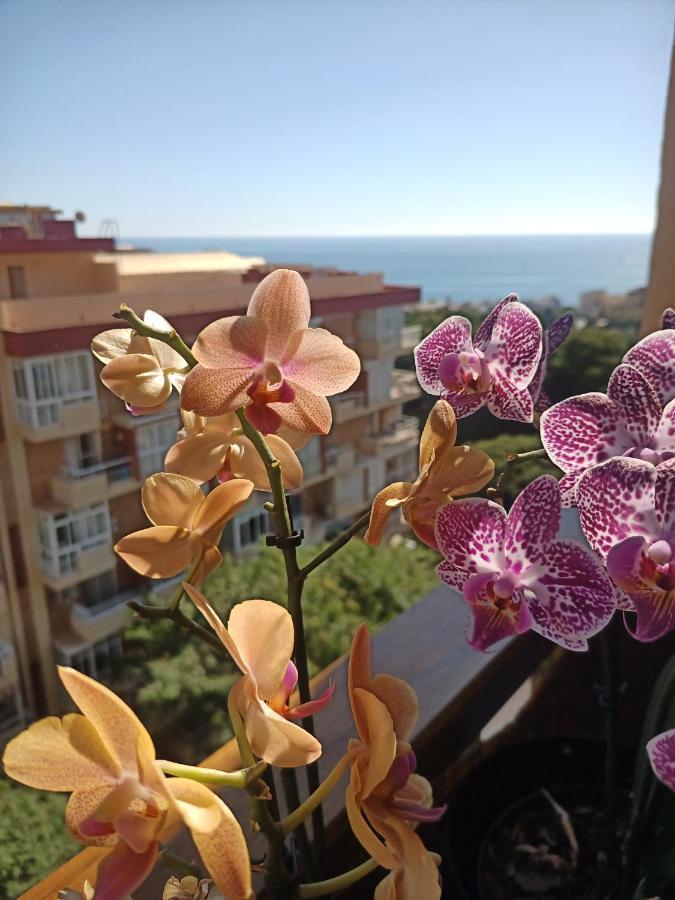 Sweet Home Benalmadena, Estudio Con Vistas Al Mar Y Excelente Conexion Wifi, Para No Fumadores, Con Piscinas, Sea Views, With Swimming Pools, Completely Renovated, Ideal For Older People, Bright With Morning Sun, No Smoking 외부 사진